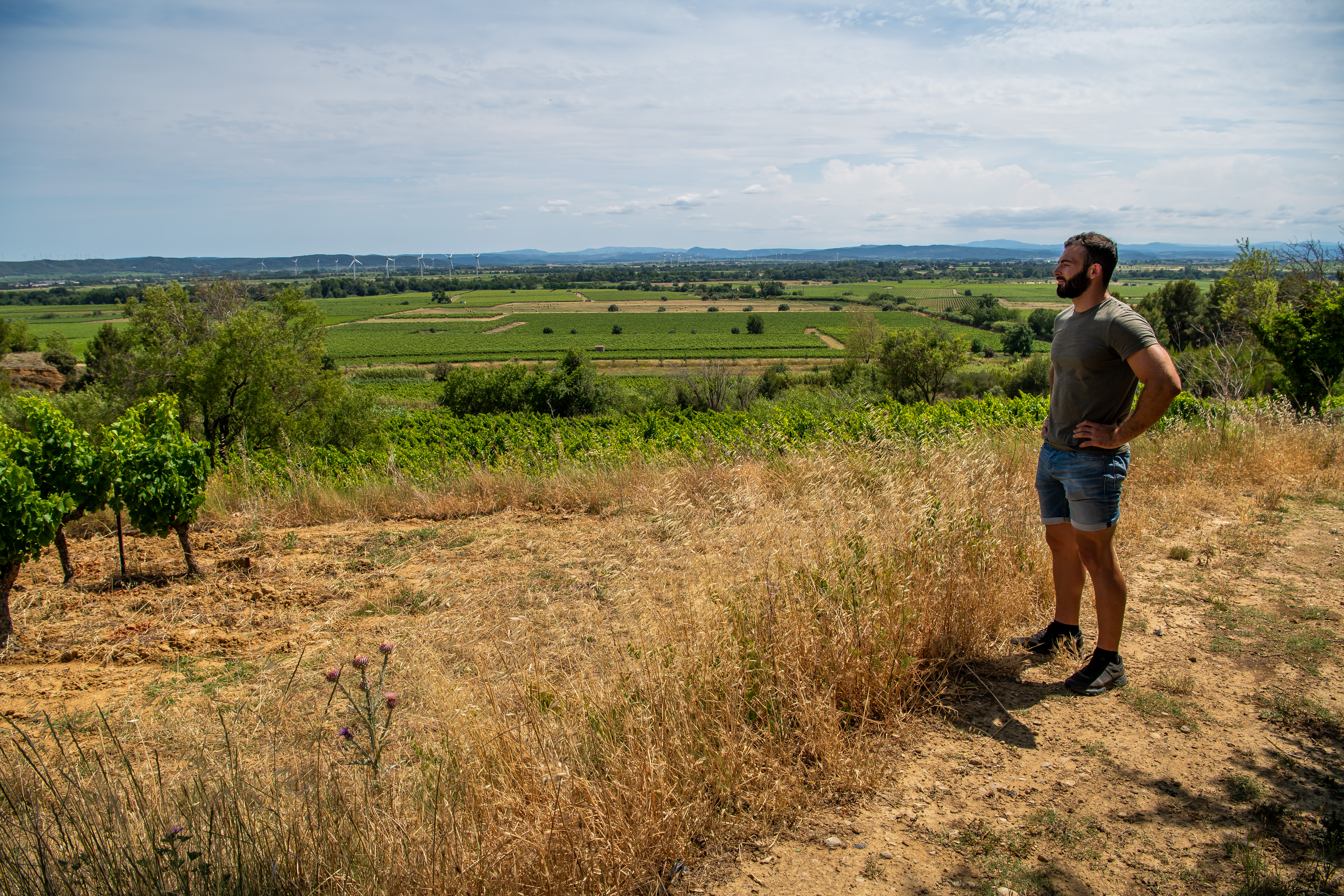 Chateu Pique Perlou DH07