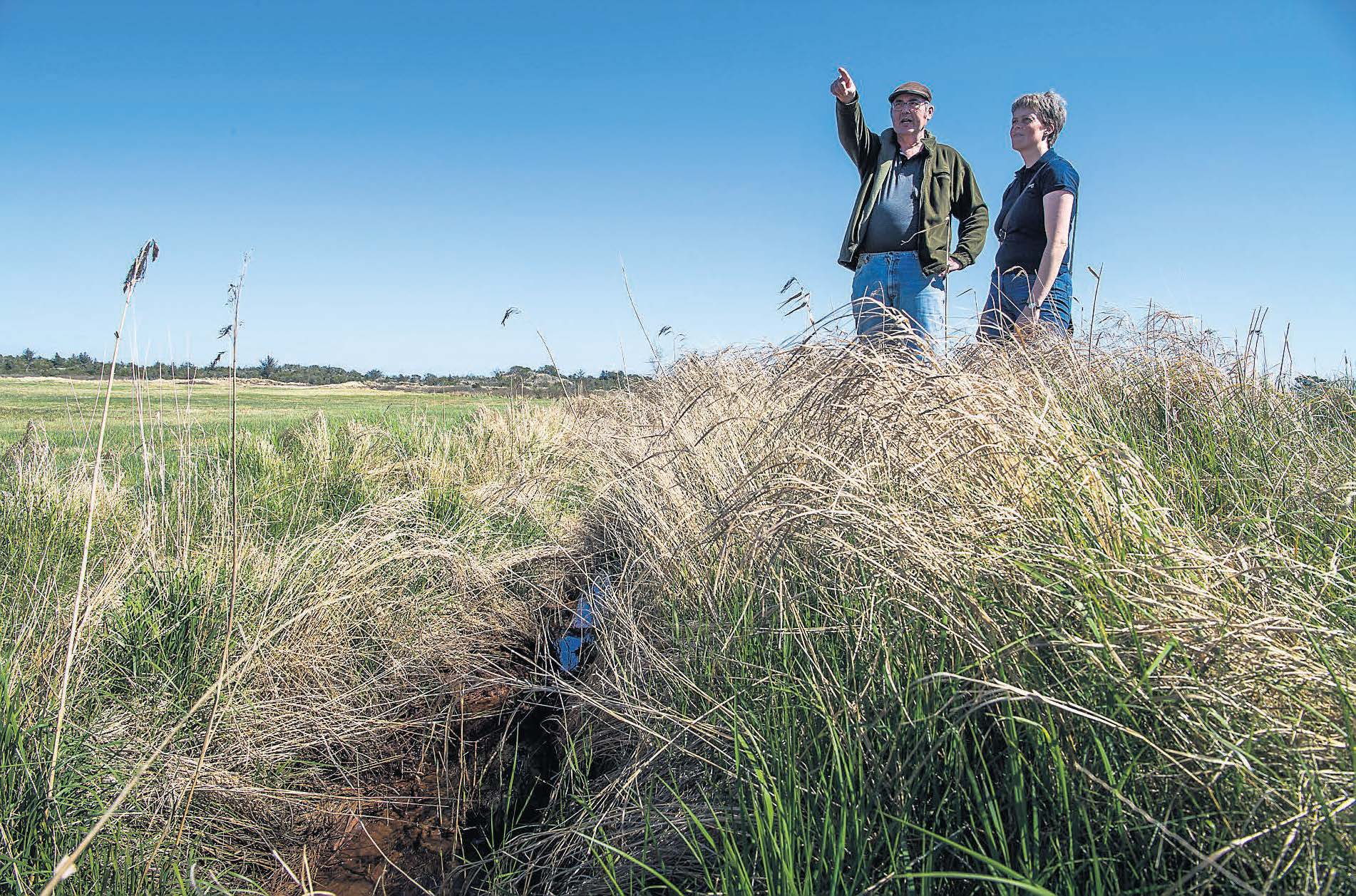 Vådområde NPT (PLUS)